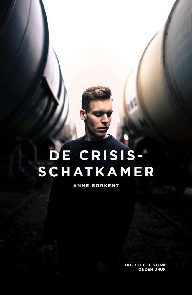 Boekomslag: De Crisisschatkamer